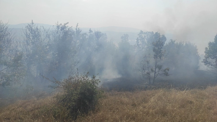 Zjarri afër Ajvatovcit vihet nën kontroll, po intervenohet në një vatër të re zjarri në Studeniçan