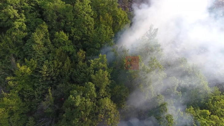 Шумскиот пожар над селата Ореше и Папрадиште изгаснат од мештаните