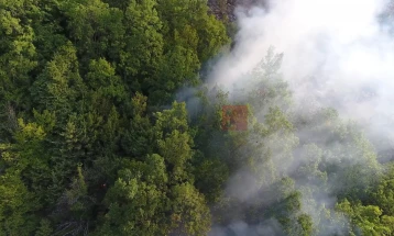 Шумскиот пожар над селата Ореше и Папрадиште изгаснат од мештаните