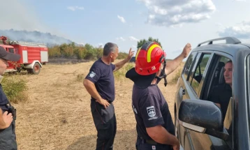 Пожарот меѓу Богданци и Дојран ставен под контрола