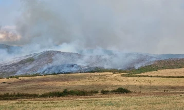 Изгаснат пожарот меѓу Богданци и Дојран