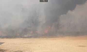 Zjarre pyjore në atarin e fshatrave Piperovë dhe Gumalevë
