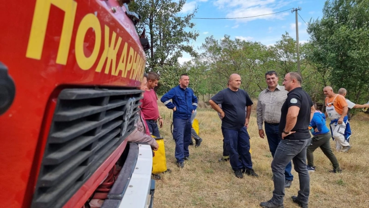 Пожарот од село Руѓинце, стигна до Бељаковце