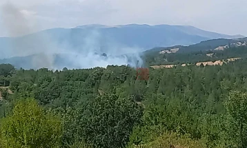 Изгаснат пожарот во атарот на село Вртиславци во делчевско-каменичкиот регион