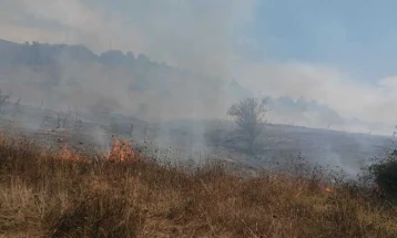 Локализиран пожарот во село Латово во Македонски Брод