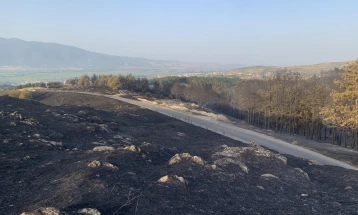 QMK: Të gjitha 22 zjarret në ambiente të hapura janë shuar, nuk ka aktive