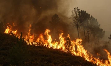 ЦУК: Поради засилен ветер пожар се шири кон повисоките делови на сртот кон Општина Долнени