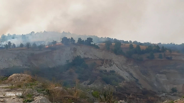 Томески: Пожарот кај Катланово делумно ставен под контрола, нема опасност за населбата и манастирот