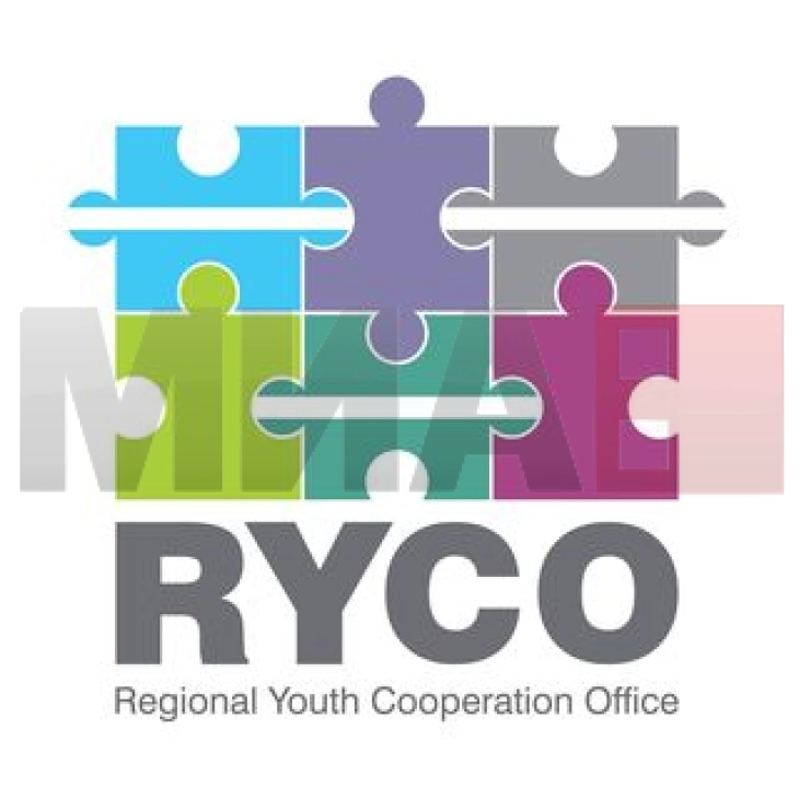 Панел дискусијата „Заложби за подобра иднина на младите – Младинска соработка и учество“
