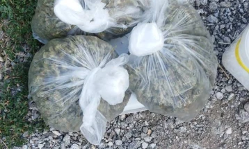 Претрес во Битола, пронајдена марихуана