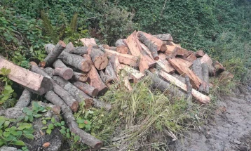 Arrestohen dhjetë hajdutë druri në një aksion të madh policor në Malin e Zi të Shkupit, sekuestrohen 400 metra kub dru zjarri të prera ilegalisht