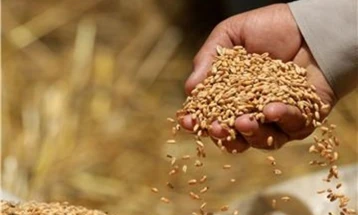Словачка и Украина се договорија за трговски систем за жито