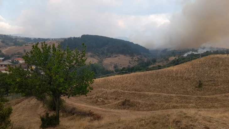 Arrestohet një person nga rrethina e Radovishit, ka shkaktuar zjarr në “Raklishki Çairi”