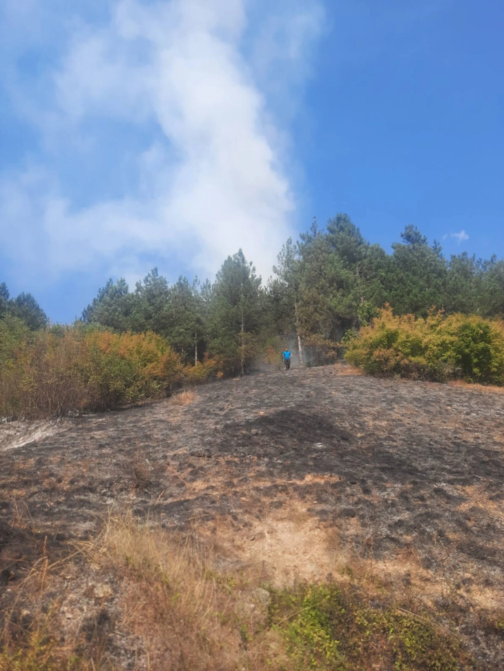 Digjet pyll me pisha në rrethinën e Tetovës, shuhet edhe nga toka edhe nga ajri