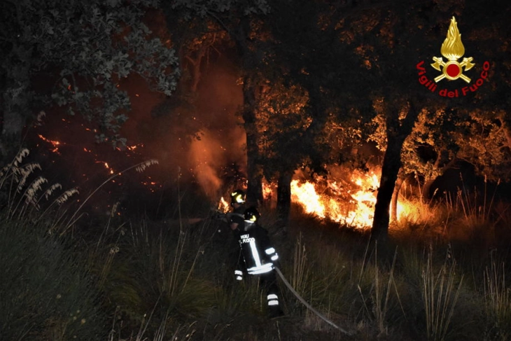 Се шири голем шумски пожар во близина на Палермо, училиштата затворени