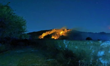Од вчеравечер продолжи да гори боровата шума во близина на тетовско Милетино, пожарот активен и утринава