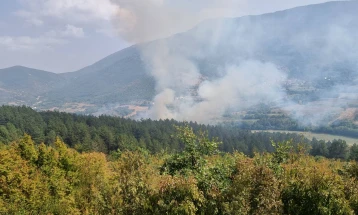 Në ditën e dytë zjarri në pyllin me pisha në rajonin e Tetovës krahas nga zjarrfikësit shuhet dhe me mbështetje ajrore
