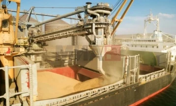 Вториот товарен брод со украинско жито пристигна во Истанбул