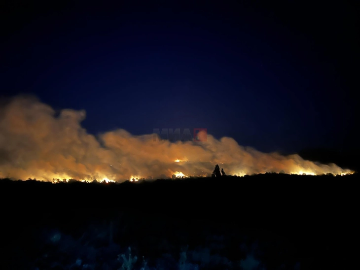 Dhjetë zjarre në rajonin e Kumanovës
