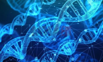 Откриена мистериозна ДНК која асимилира гени од различни организми