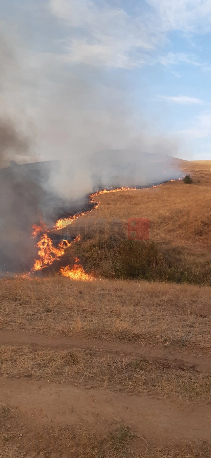 Zjarr mes fshatrave Sushevë dhe Dobroshan në Shtip