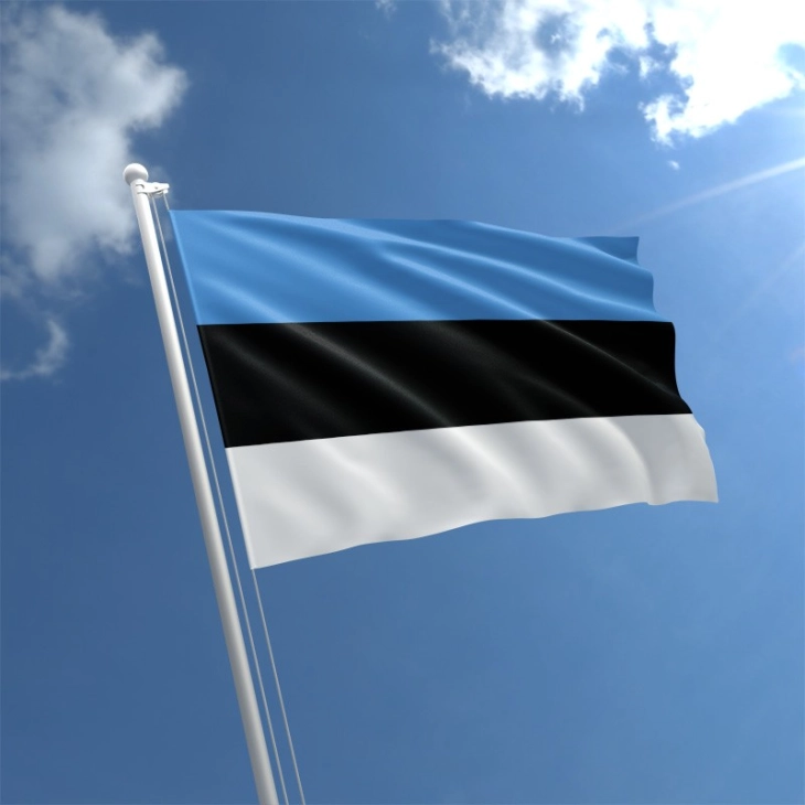 Естонија и се придружи на Германија во програмата за снабдување со муниција на Украина