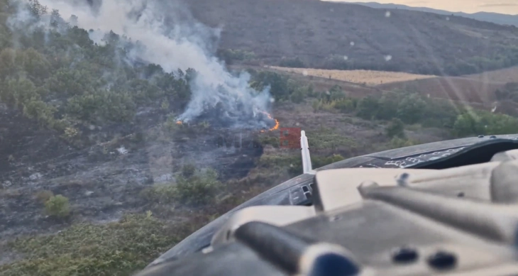 МВР: Пожарот во Илинден локализиран со над 15 тони вода