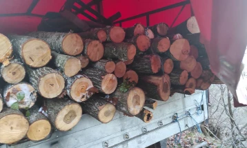 Кривична пријава против жител на  Орќуше поради пустошење на шума