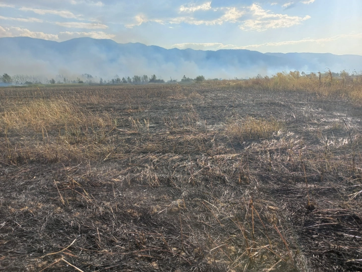 Zjarr i madh në ambient të hapur në Strumicë, po digjet sipërfaqe prej rreth 20 hektarëve në gjatësi prej tre kilometrave