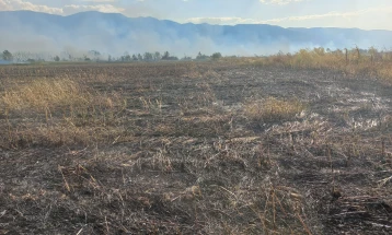 Zjarr i madh në ambient të hapur në Strumicë, po digjet sipërfaqe prej rreth 20 hektarëve në gjatësi prej tre kilometrave