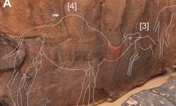 Во Саудиска Арабија откриено огромно праисториско ликовно дело изрезбано во камен