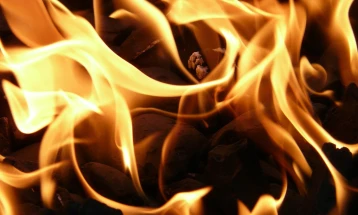 Пожар во атарот на скопско Зелениково