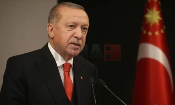 Erdogan: Presim më shumë nga aleatët në luftën kundër terrorizmit
