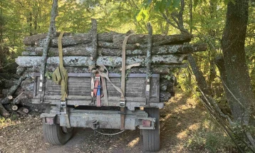 Приведени тројца дрвокрадци од Неготинско, пронајдени околу 28 метри кубни огревно дрво без документација