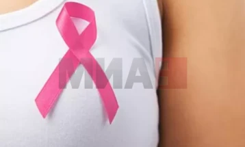 Работилница „Розов октомври“ за сензибилизација за рак на дојка во Гостивар