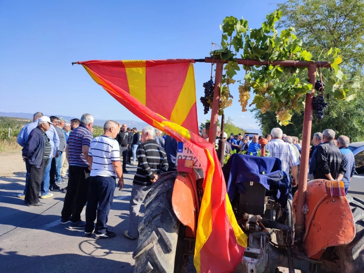 Тргната блокадата од лозари на патот Кавадарци - Неготино