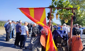 Тргната блокадата од лозари на патот Кавадарци - Неготино