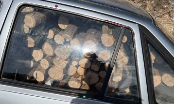 Приведени дрвокрадци во Тетовско