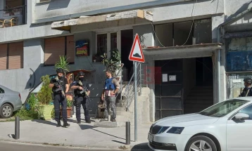 Bastisje në veri të Mitrovicës, policia gjen armë dhe mjete eksploduese