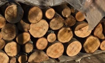 Приведени дрвокрадци во Велешко, затекнати при нелегална сеча на огревно дрво