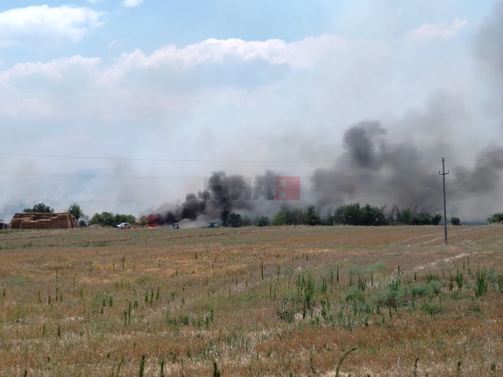 Zjarr në afërsi të fshatit Kondovë