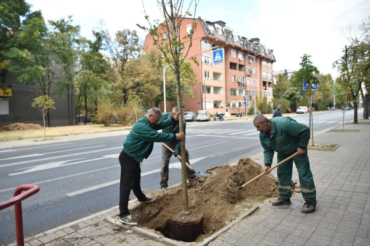 Акција за засадување дрвја на над 100 локации во Скопје