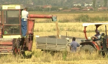 Земјоделците од штипско-карбинскиот регион ги подготвуваат нивите за сеидба на житните култури