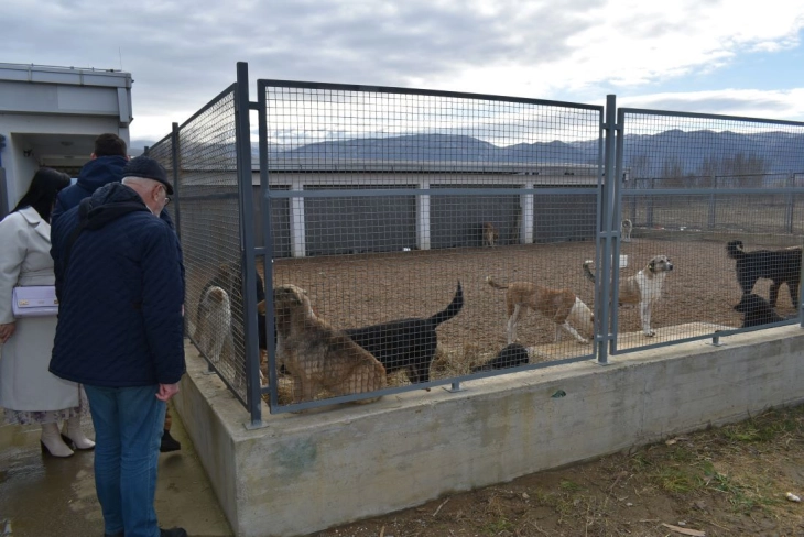 Стојкова: Во Струмица се носат кучиња бездомници од други градови
