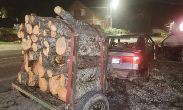 Приведено лице од кичевското село  Колари, превезувало нежигосано огревно дрво