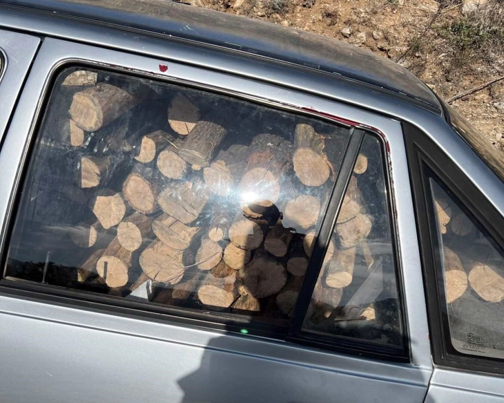 Во охридско-струшкиот крај лани и годинава откриена нелегална сеча на 235 кубни метри дрво, поднесени 15 пријави