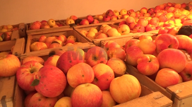 Србија во 2022 увезла близу 24 тони јаболка од Северна Македонија во вредност од 3,1 милиони евра