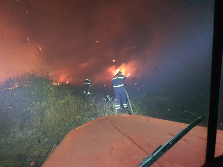 Се шири пожарот кај неготинско Дуброво, гаснат пожарникари од Неготино и Кавадарци