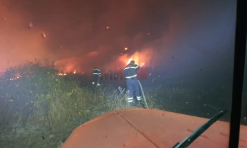 Përhapet zjarri në afërsi të Dubrovës në Negotinë, e shuajnë zjarrfikësit nga Negotina dhe Kavadari