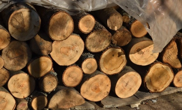 Во Ресенско пронајдени бесправно исечени огревни дрва, приведено едно лице